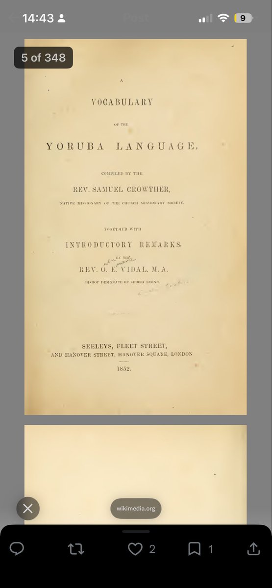 ELECTRONIC ZEPHYR⚡️ tweet media