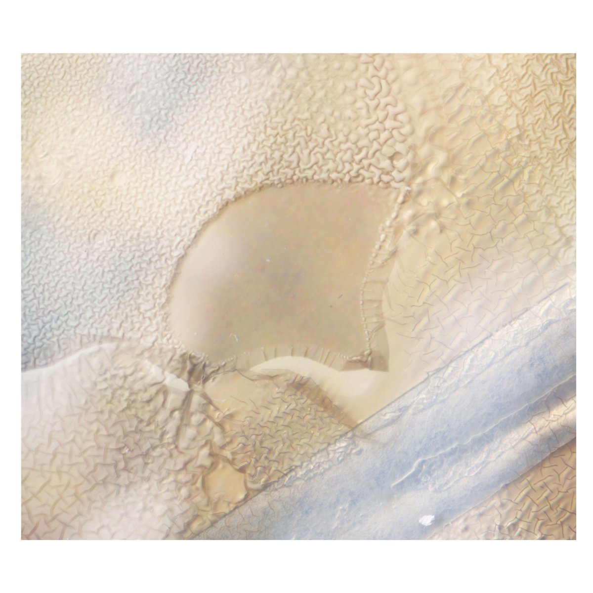 David James 🍩 tweet media