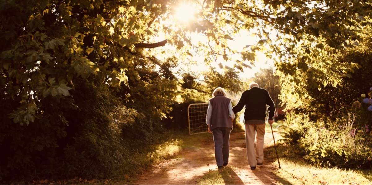 IAN PLAYER “Out of Africa” tweet media