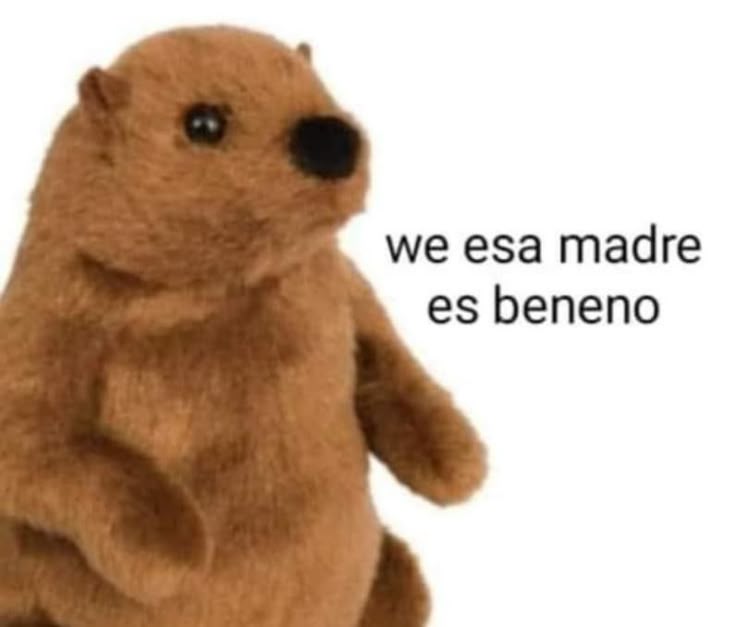 ᴊᴜᴅɢᴍᴇɴᴛ⛓️𝕯𝖊𝖒𝖔𝖓 𝖔𝖋 𝖙𝖍𝖊 𝖘𝖊𝖓𝖙𝖊𝖓𝖈𝖊 tweet media