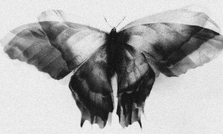 *"Sınanmadığın konuda 
doğru davranacağını varsaymak kibirdir."