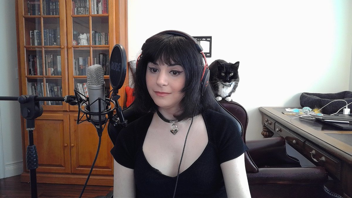 Got a special guest tonight 🐈‍⬛
(link in bye yo)