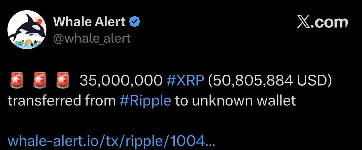 XRP Update tweet media