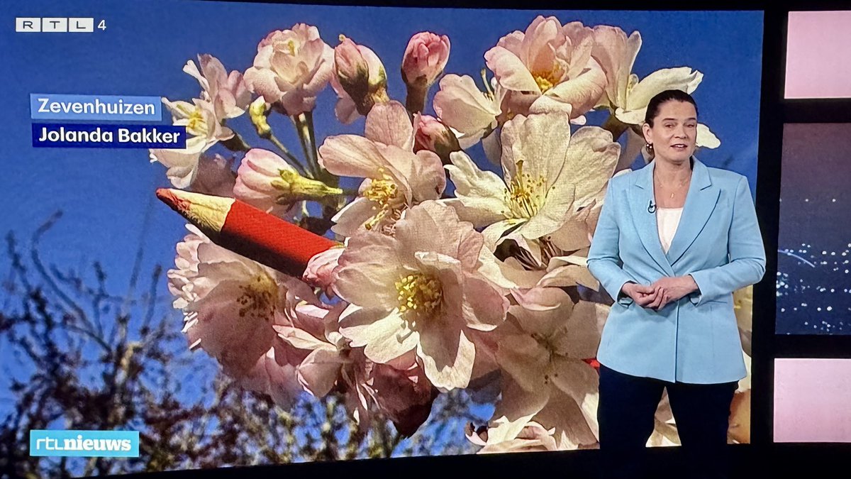 Jolanda Bakker tweet media
