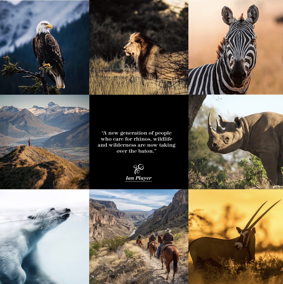 IAN PLAYER “Out of Africa” tweet media