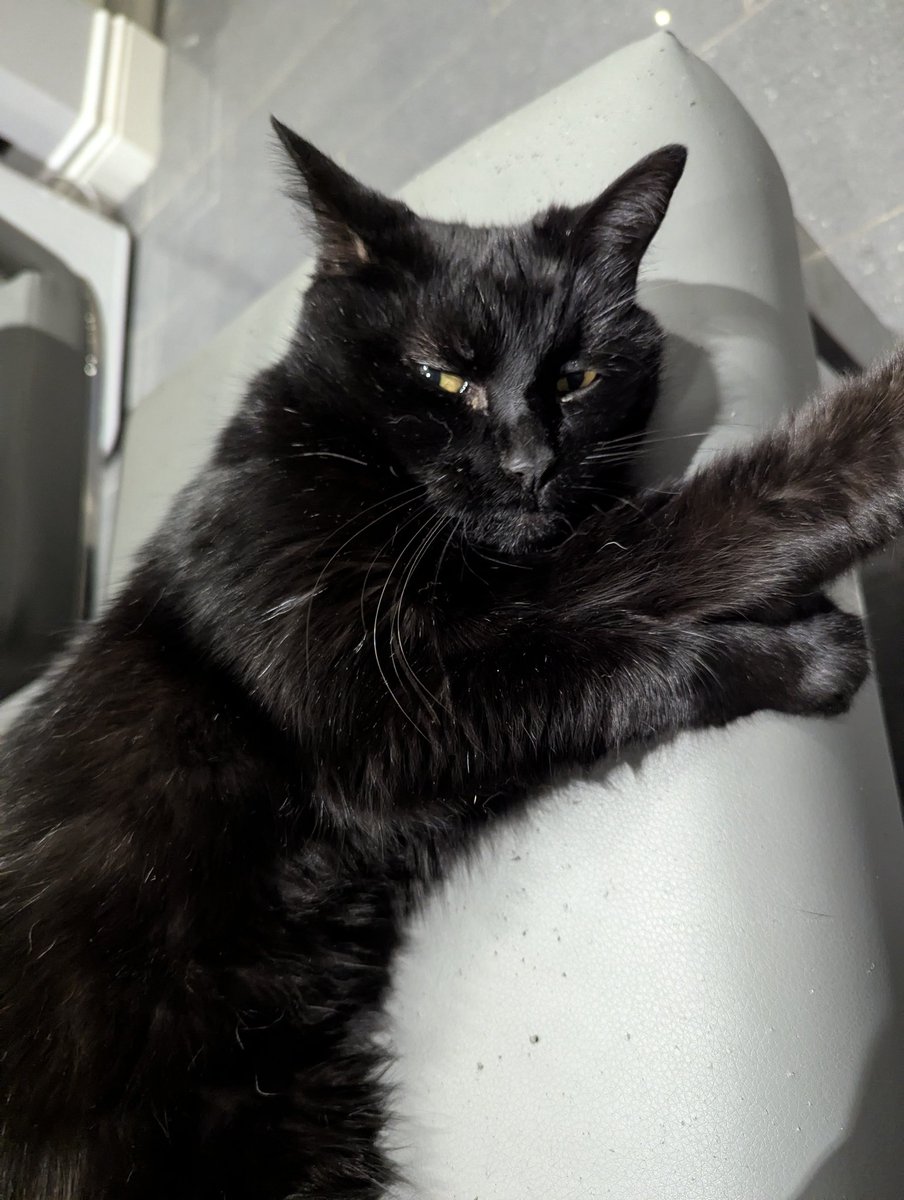 Dr Andy Smith (@evilokapi.bsky.social) tweet media