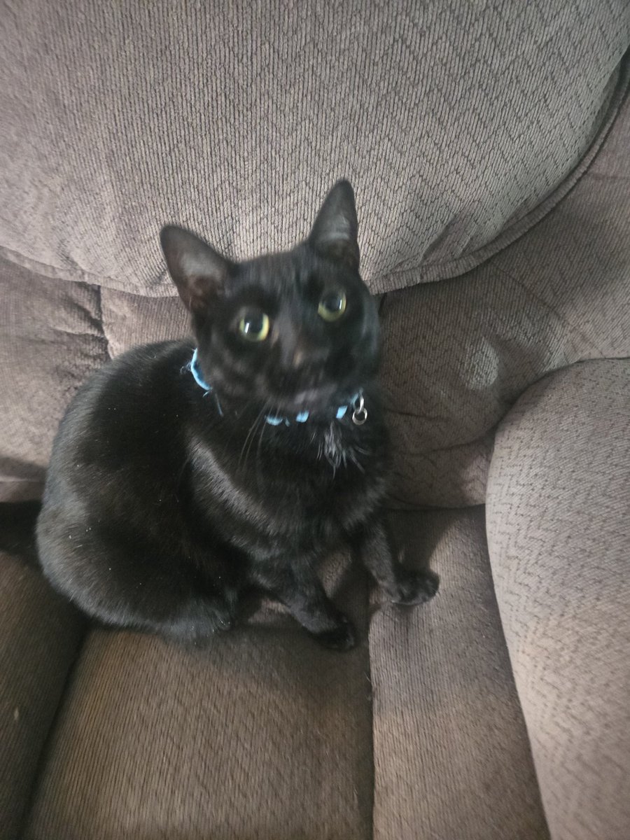 evan/dani (@loonarfalls) on Twitter photo 