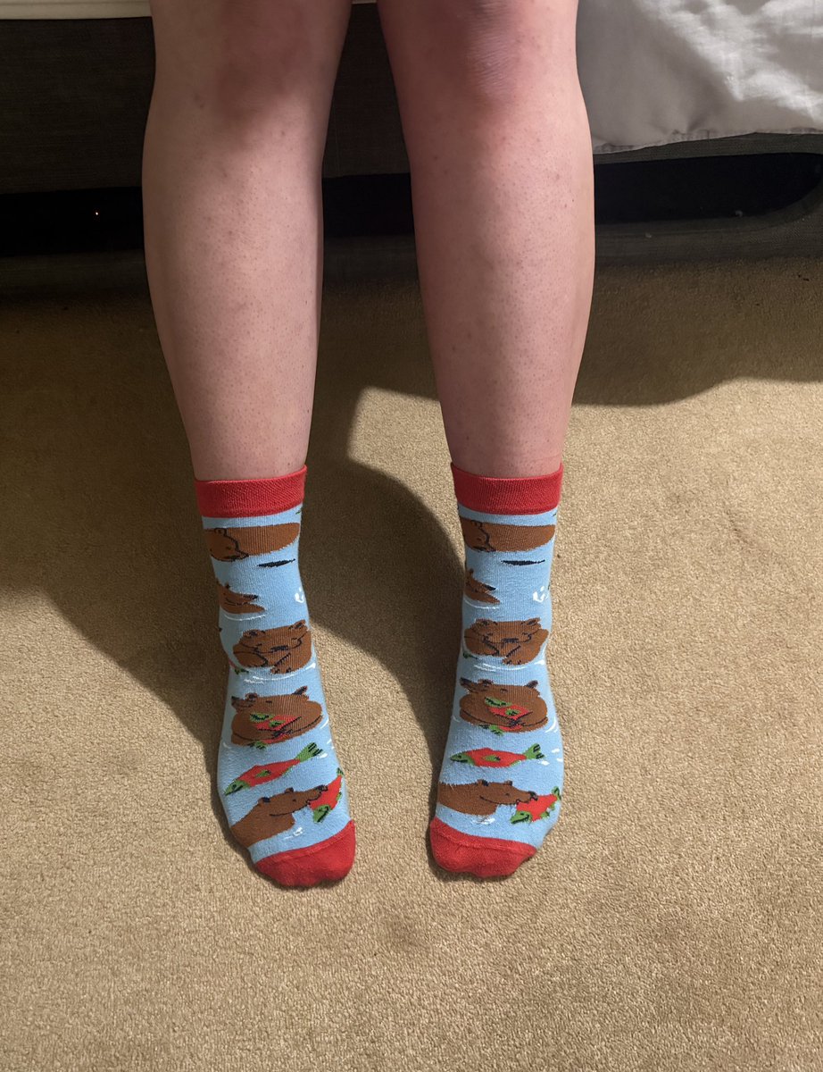 Ethan 🔜 your paws tweet media