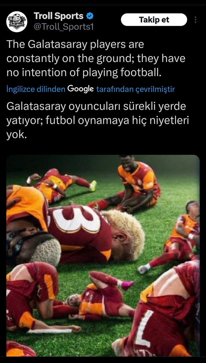 Aslan_Çaire tweet media