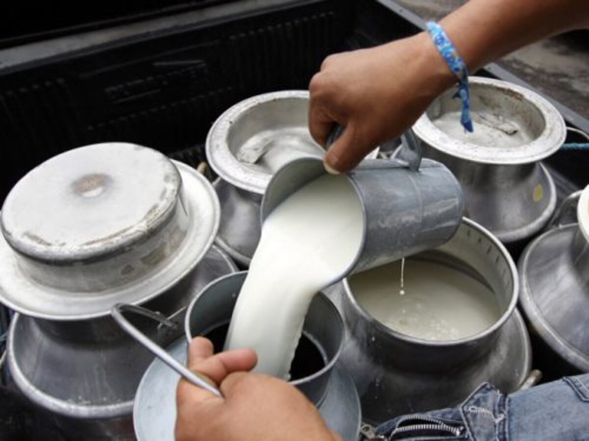 VISIÓN AGROPECUARIA WEB Y VAR RADIO ON LINE tweet media