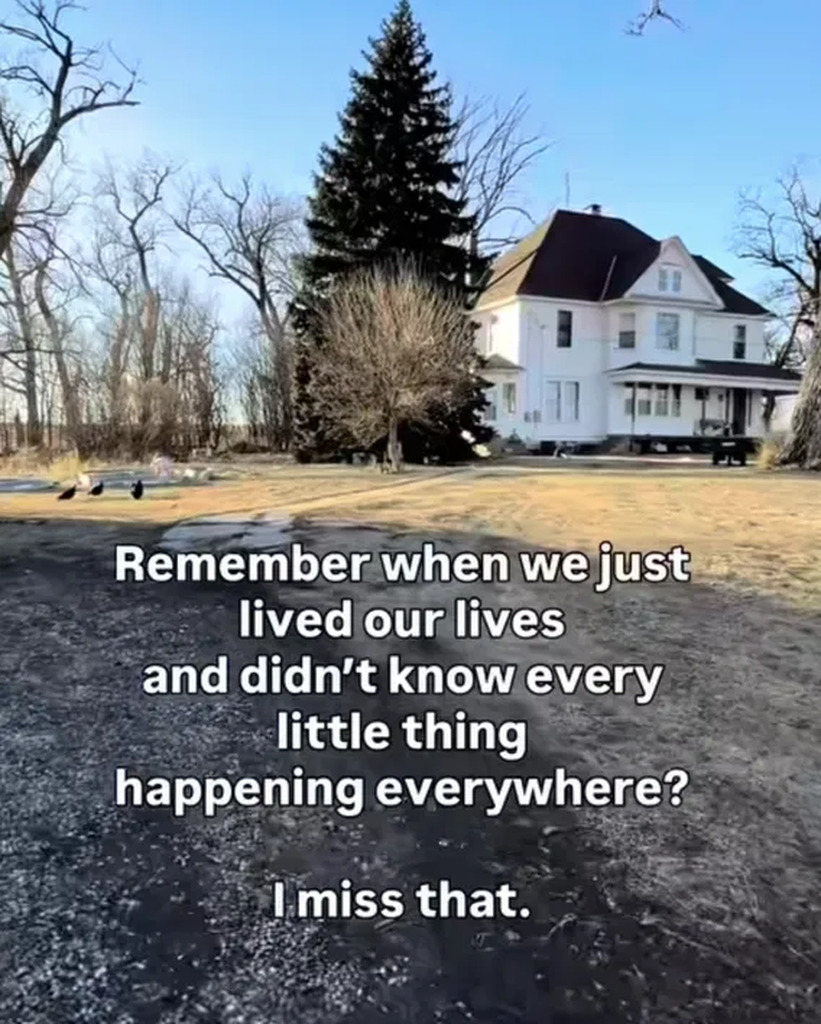 Matt Couch tweet media