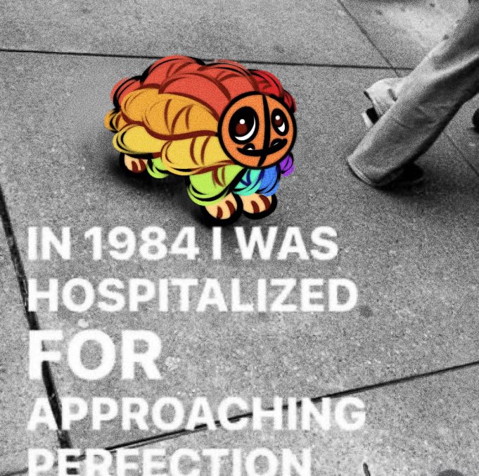 ✐ ;꒰ °MIQ ꒱* ˚ ✦ 𓍊𓋼𓍊𓋼𓍊 tweet media