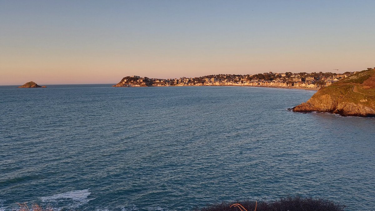 Thierry Bro-Land tweet media