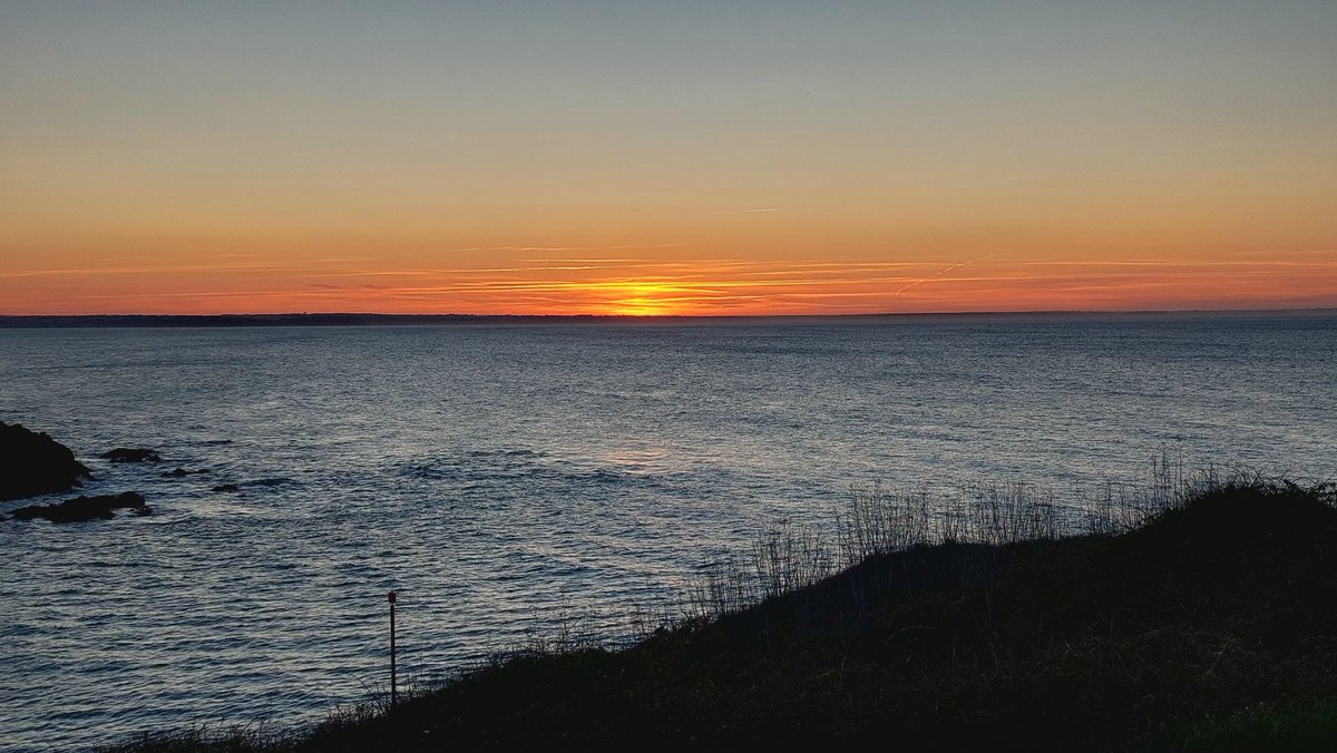 Thierry Bro-Land tweet media