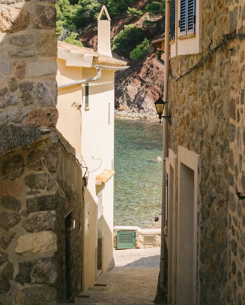 p˚୨୧⋆。🐈˚ ⋆ tweet media