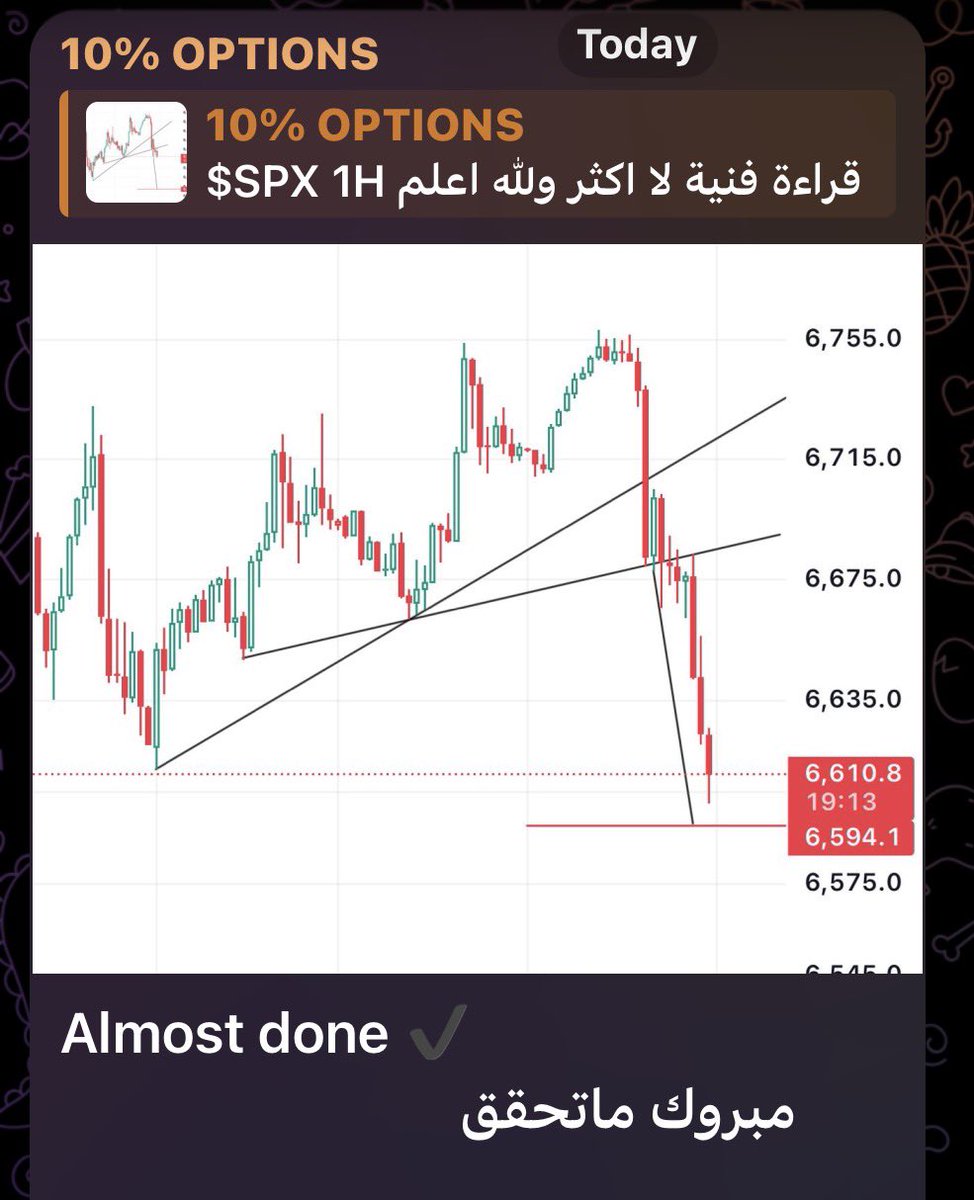 Options Pasha tweet media
