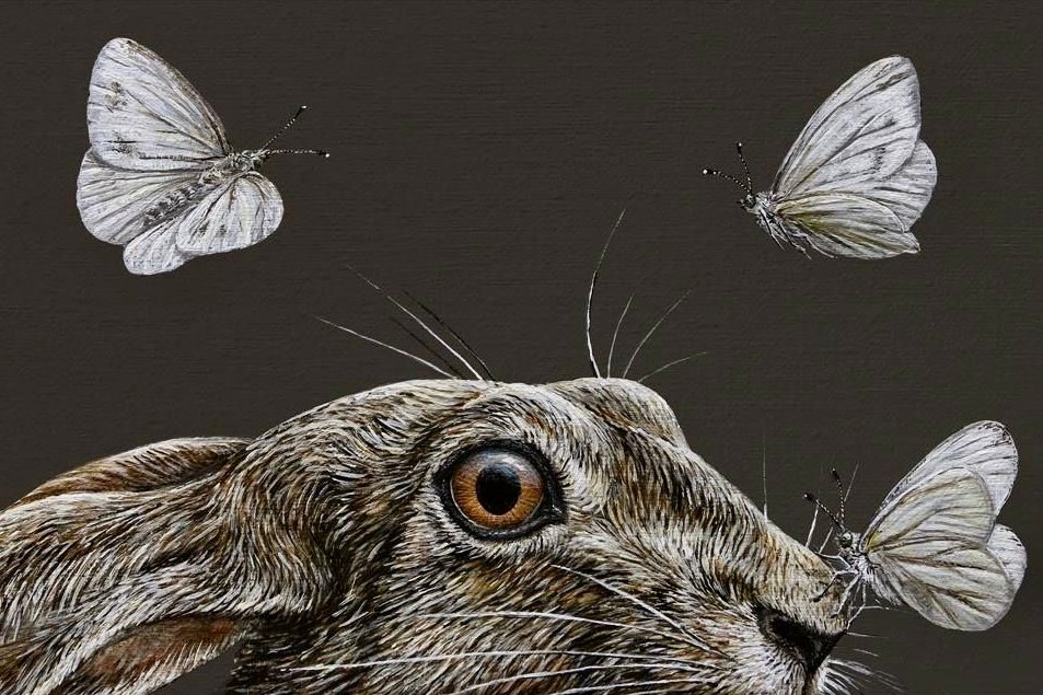 Mary-Ann Thorson𐃆 tweet media