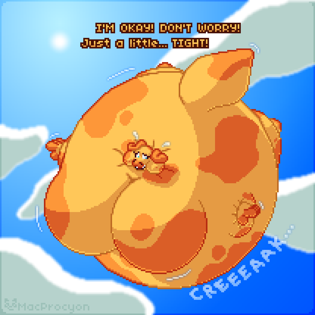 MacProcyon tweet media