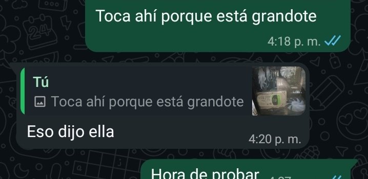 Nephri 🪄El Mago||Cirque de Bijoux tweet media