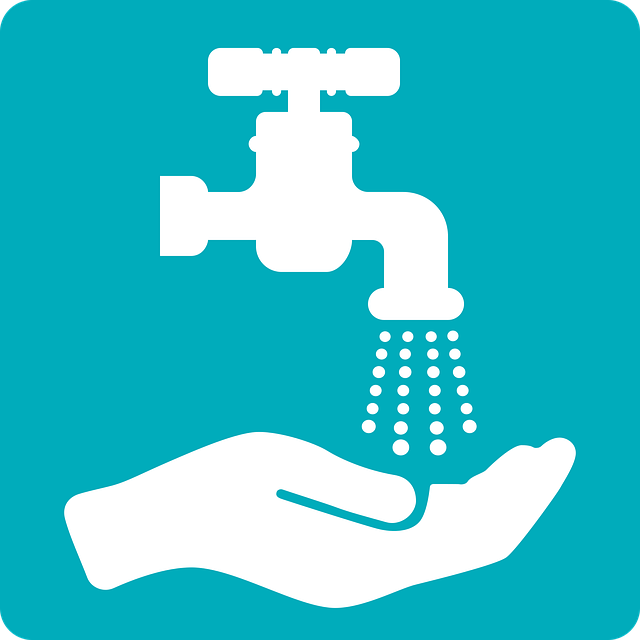 Steve Chau tweet media