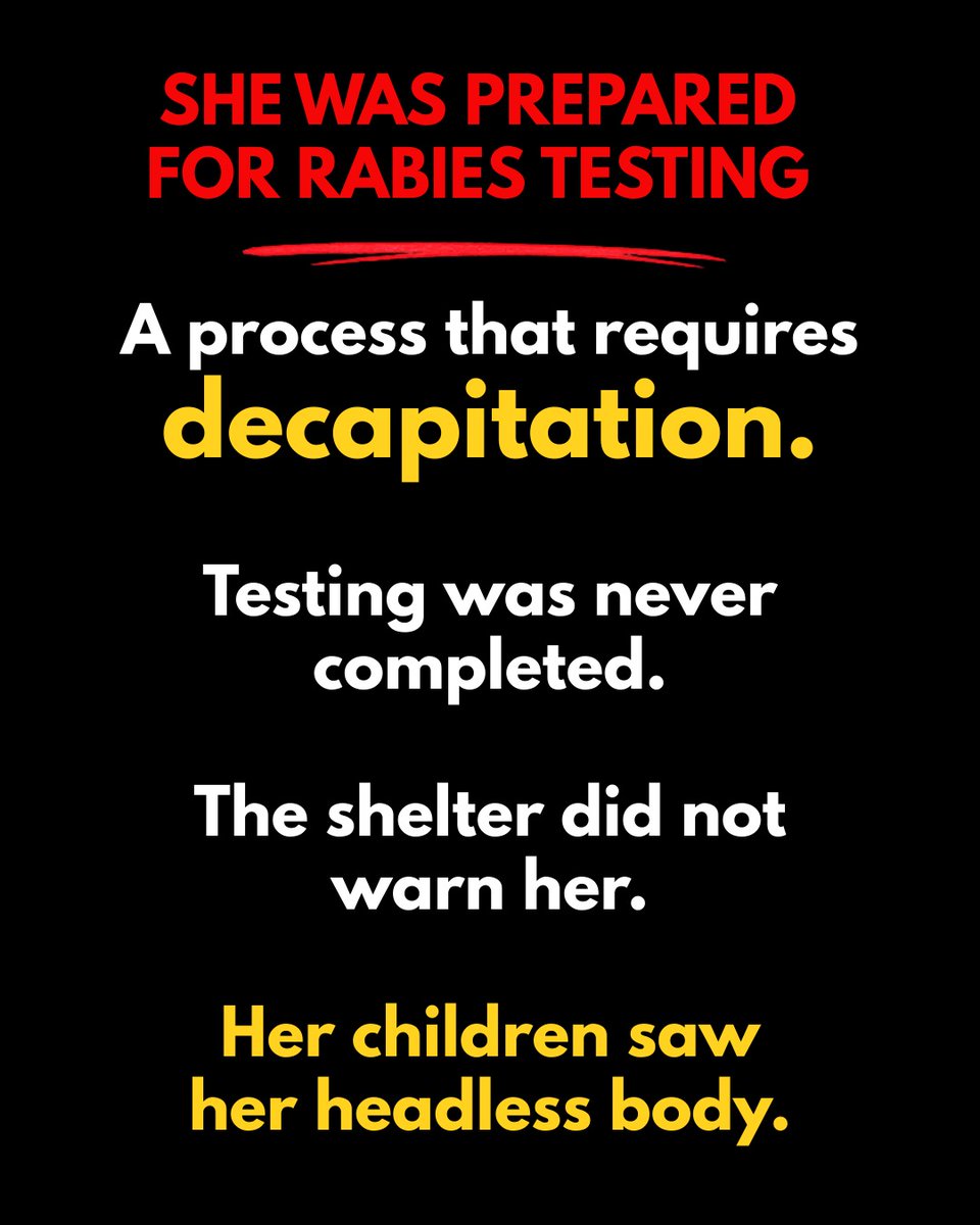 Paul Mueller tweet media