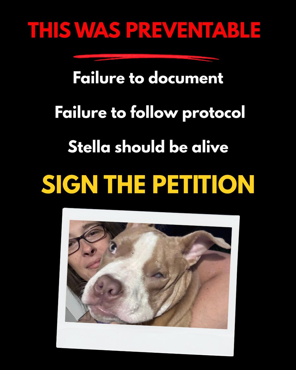 Paul Mueller tweet media