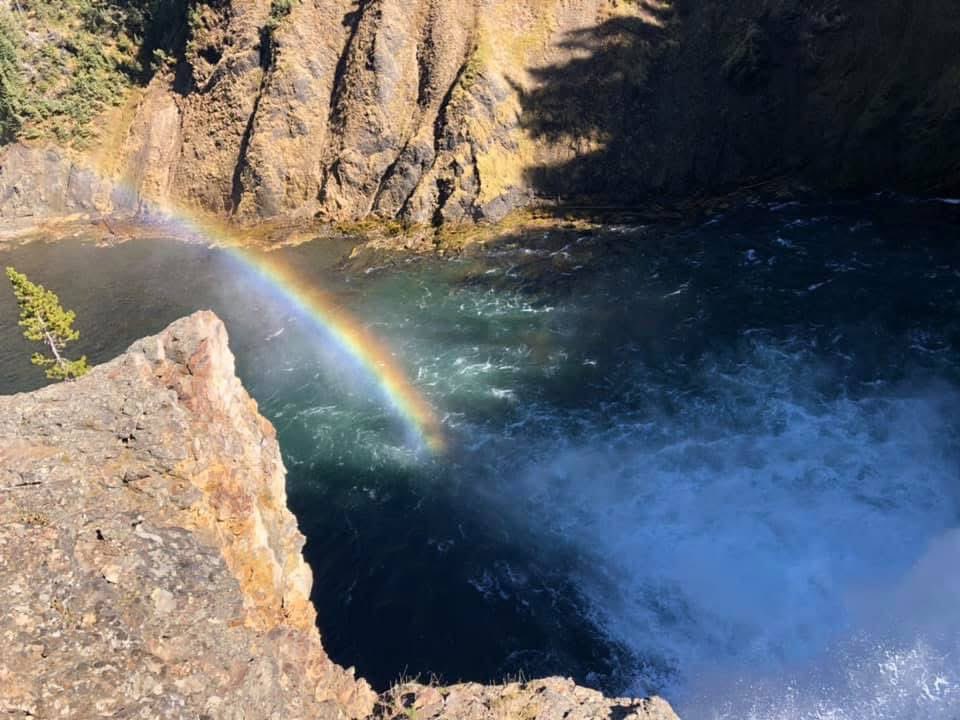 The Ms T 🧡🙌🏻💚 tweet media