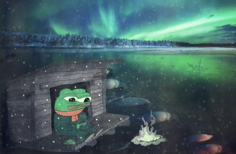 乇𝗗𝗡𝗨𝗧0𝗫🕸️🌴 tweet media