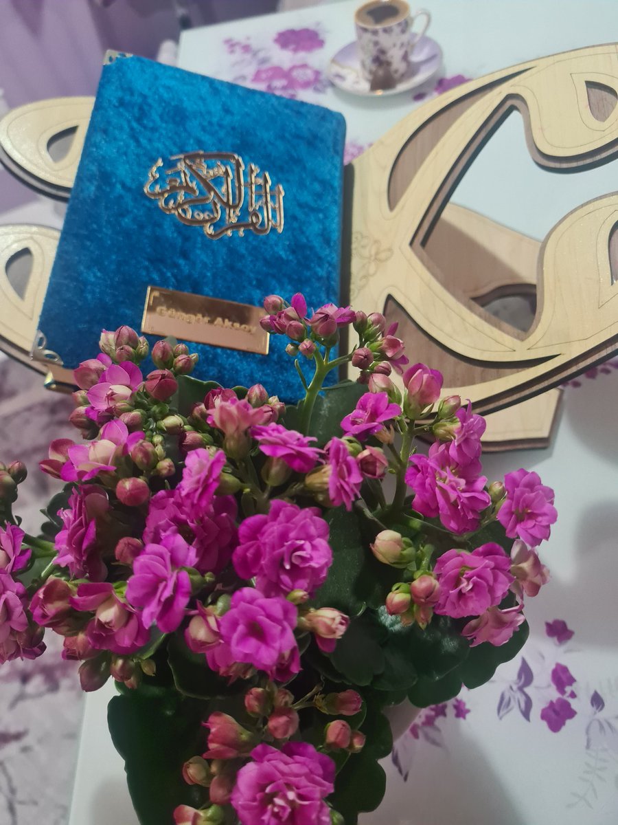 Güllll beee tweet media