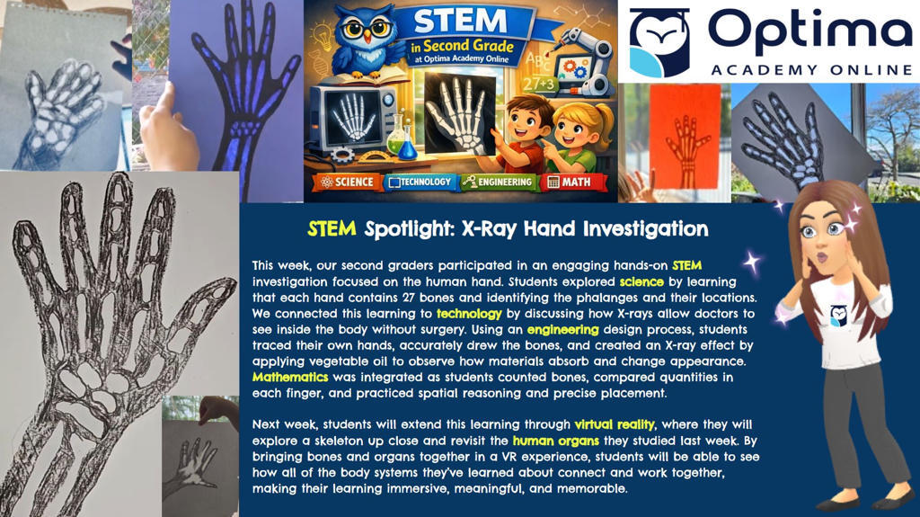 Optima Academy Online tweet media