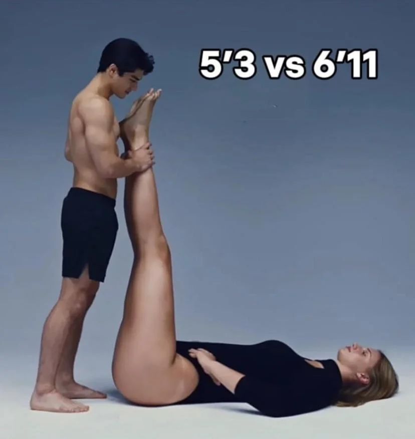 Misssgestalt tweet media