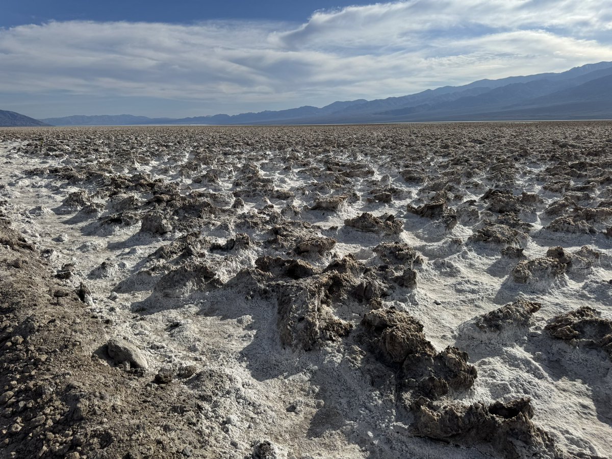 Kevin Janison tweet media