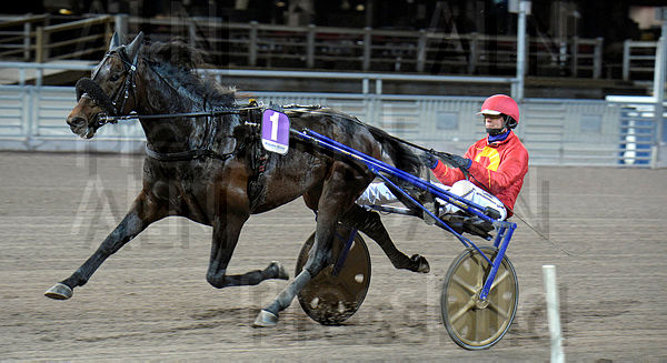 FIGHT-TILL-YOU-DIE tweet media