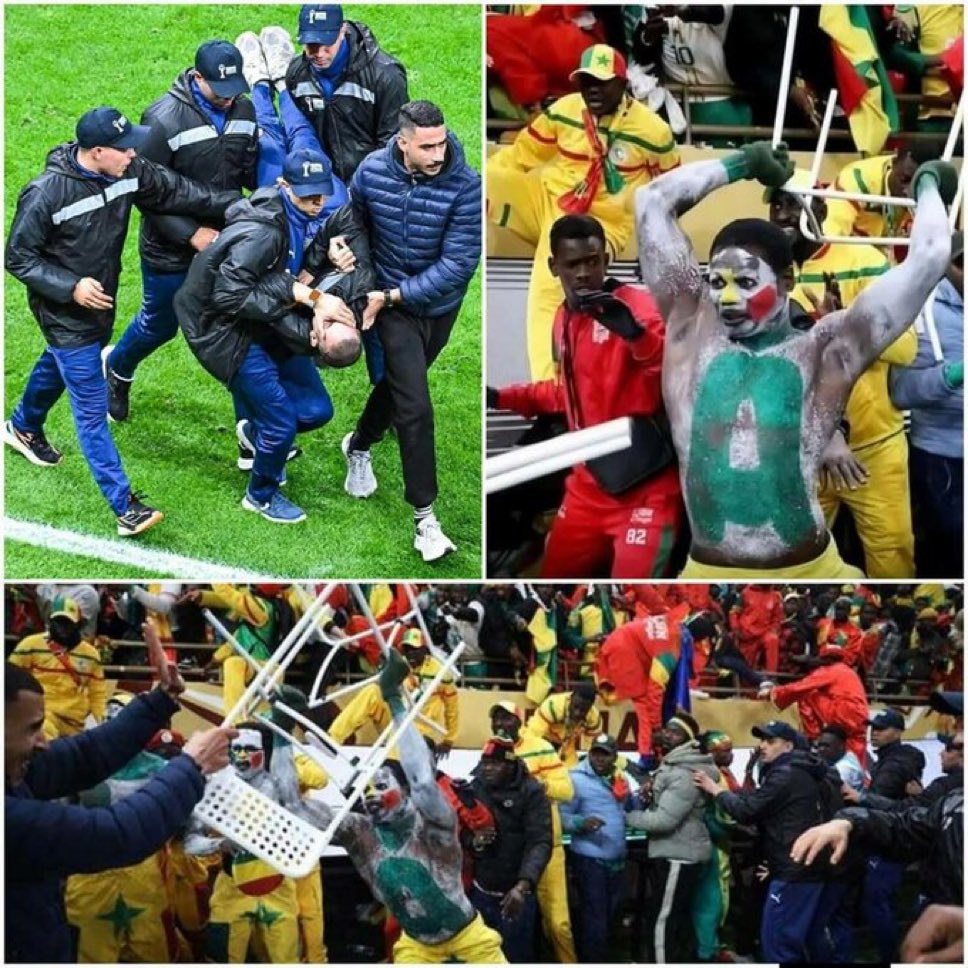 Youssef Yamani ⭐️⭐️ tweet media