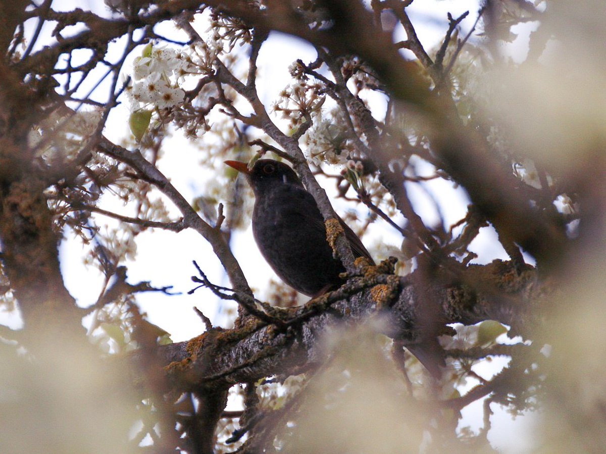 Riri Pipsqueak 🐀 tweet media