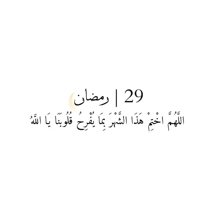 فُـلانـﮩ 𐙚 tweet media