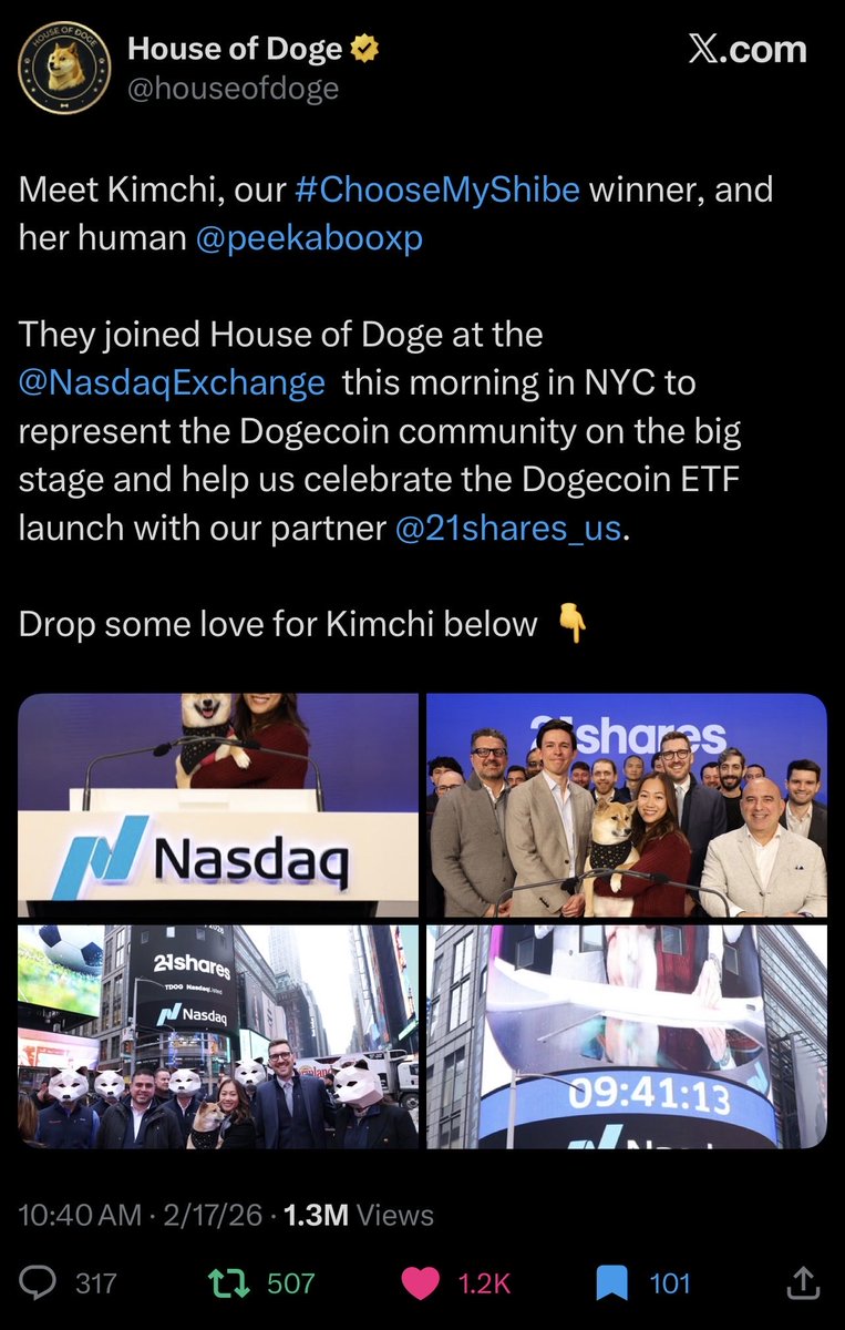 Lucatoni tweet media