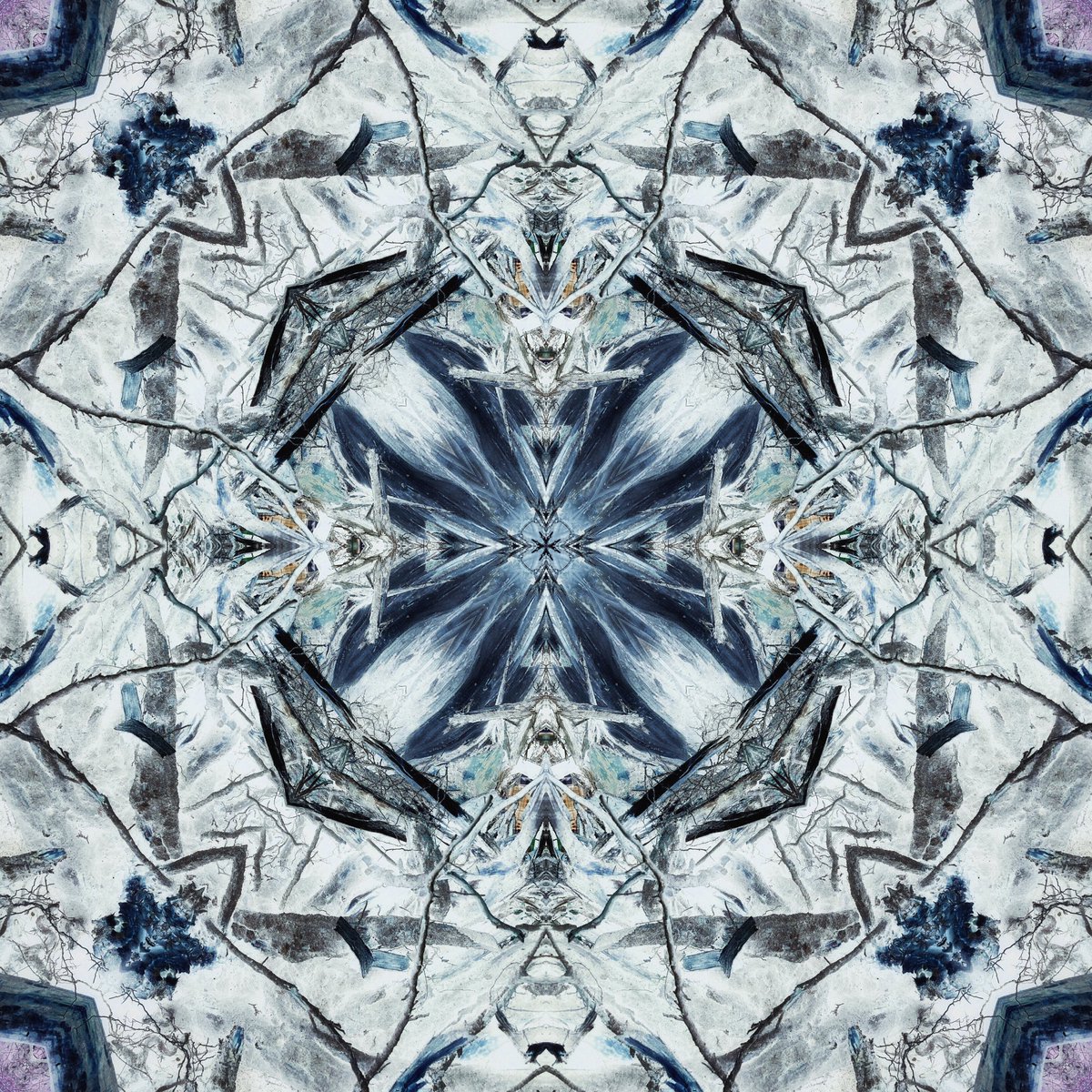 Brother12 tweet media