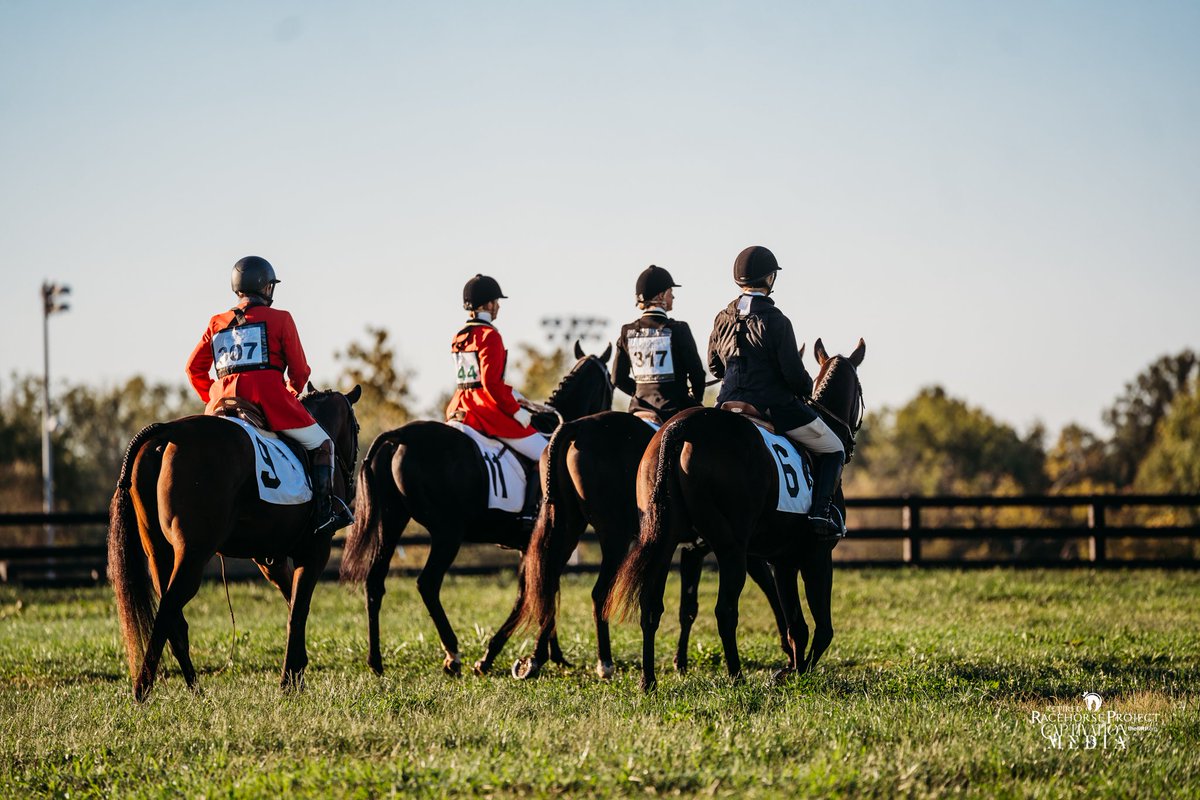 Retired Racehorse Project tweet media