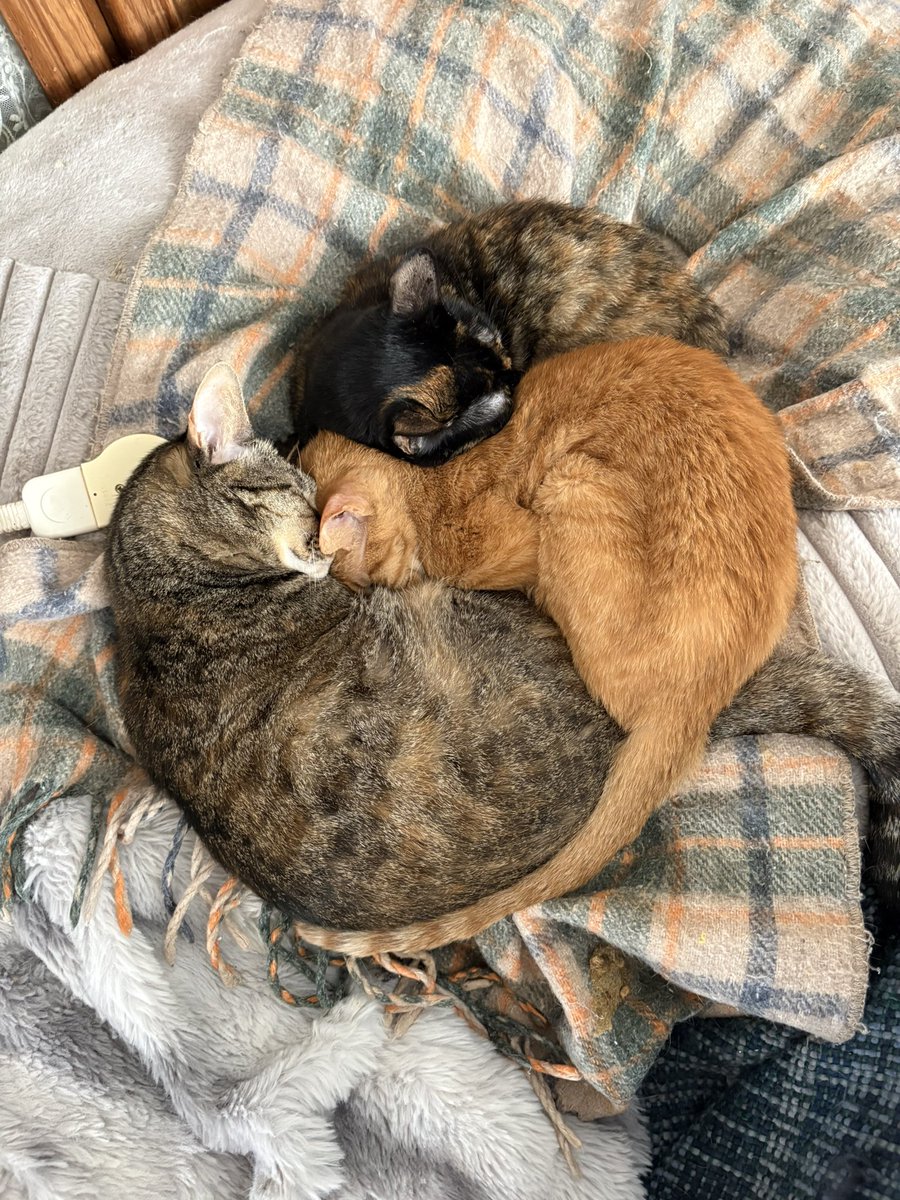 3/19   木曜日
おはようございます

体調に気を付けてね🍀