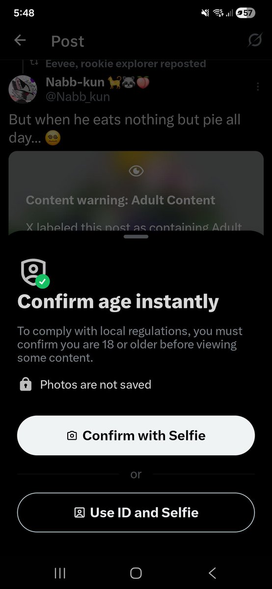 Kappa | Paunchy Protogen-Skunk ☢️🔞 tweet media