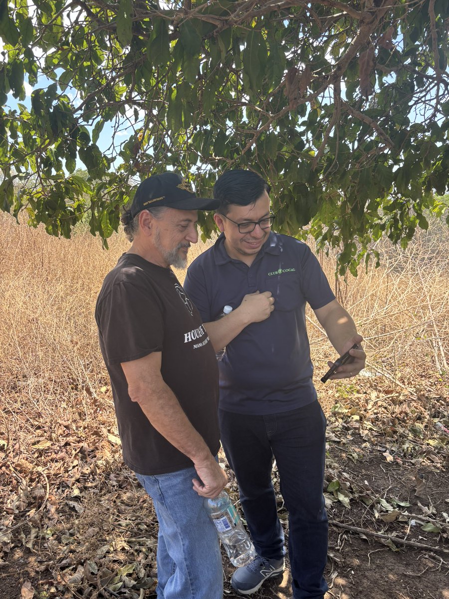 Club Cocal 🇸🇻 tweet media