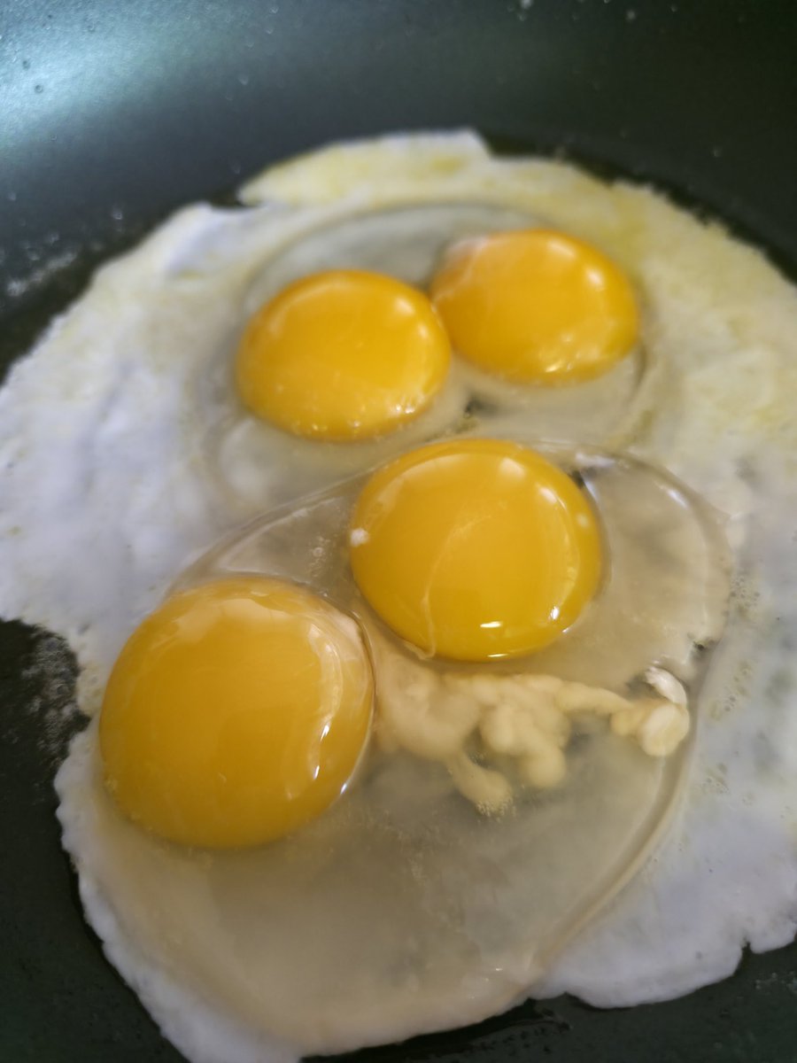 snowprincesspnw's tweet image. Can someone tell me what came out of that second egg? What is that disgusting white umbilical cord/after birth placenta looking goo? #WhatIsIt