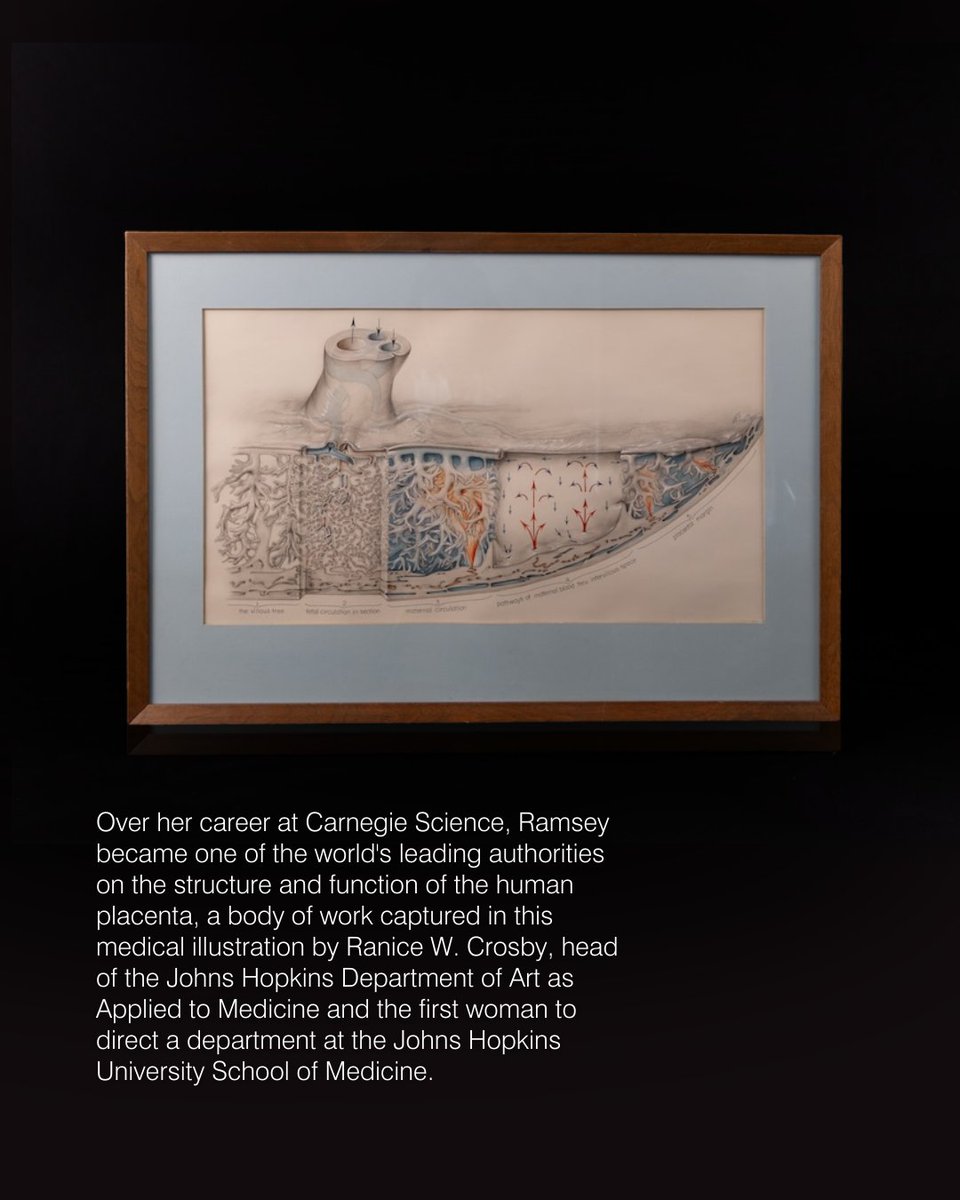 Carnegie Science tweet media