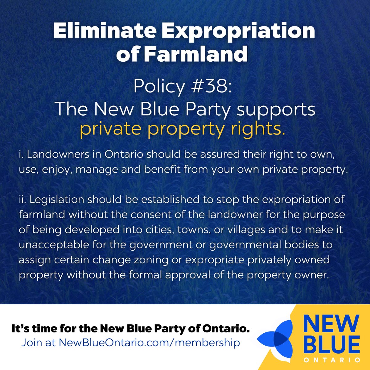 New Blue Party of Ontario tweet media