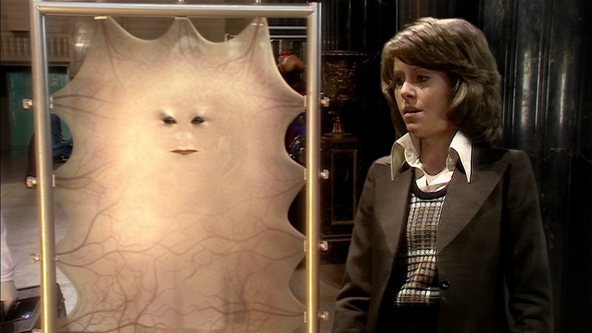 KB Designs tweet media