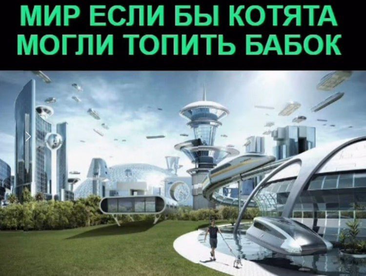 Шиза&База tweet media