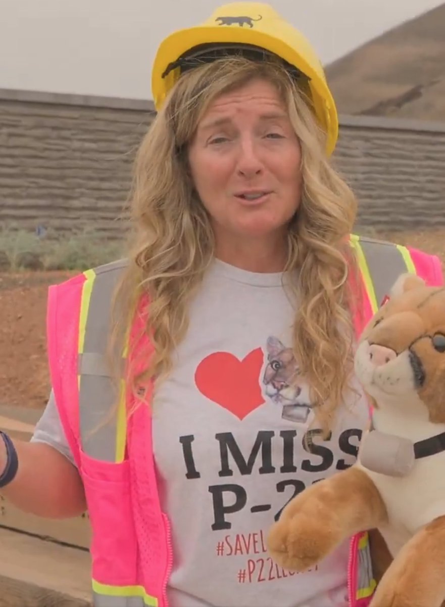 Christopher F. Rufo ⚔️ tweet media