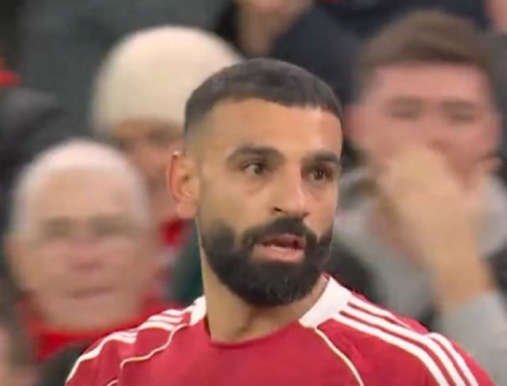 babita di marzio tweet media