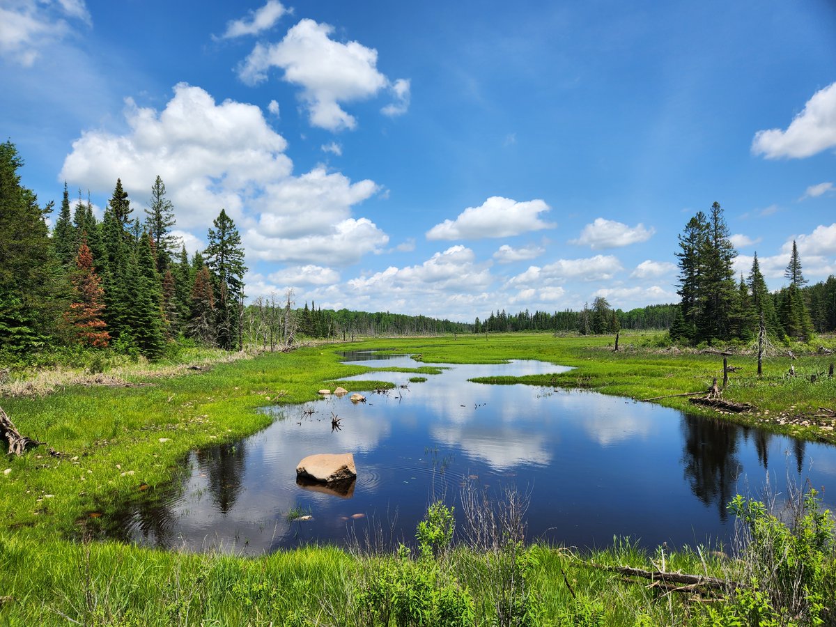 SuperiorNF tweet media